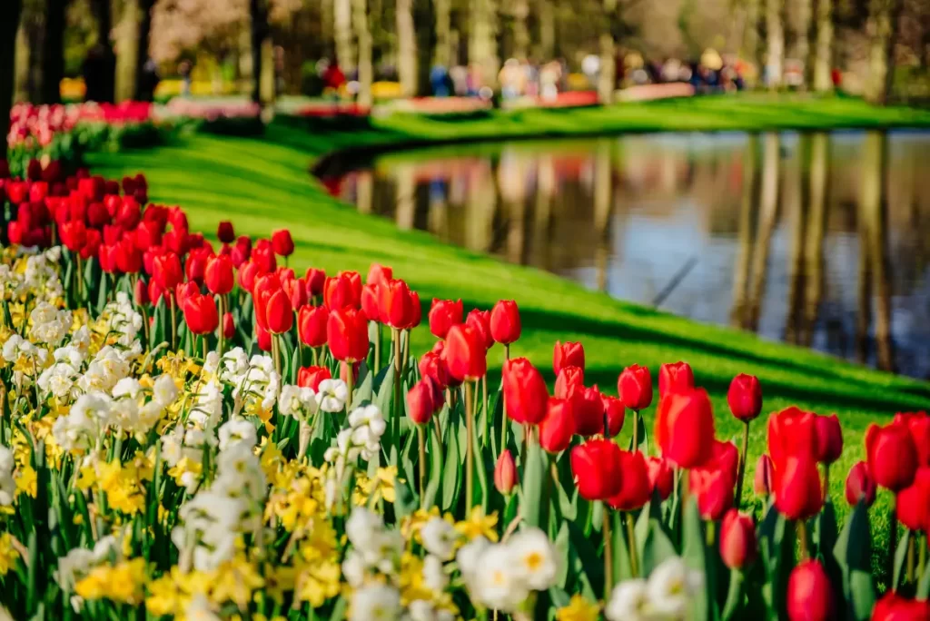 Autobusové zájezdy a výlety s CK Lehátko – Mniší, Kopřivnice - Keukenhof4.webp